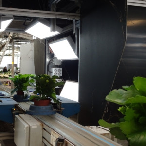 dsc08307-840.jpg